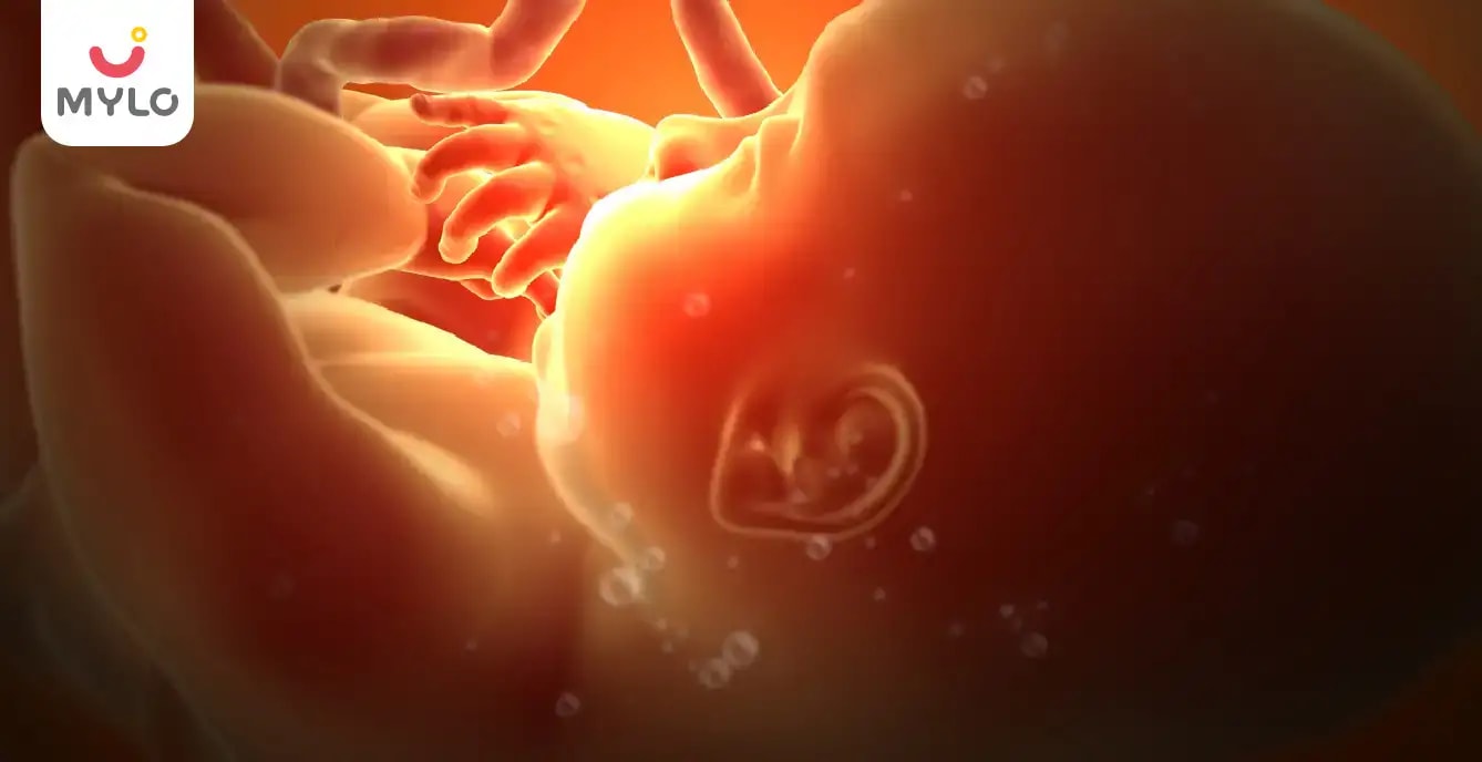 పుంసవనం అంటే ఏంటి? ఈ వైదిక కర్మ ద్వారా ఆడబిడ్డ లేదా మగబిడ్డ ను పొందవచ్చా?