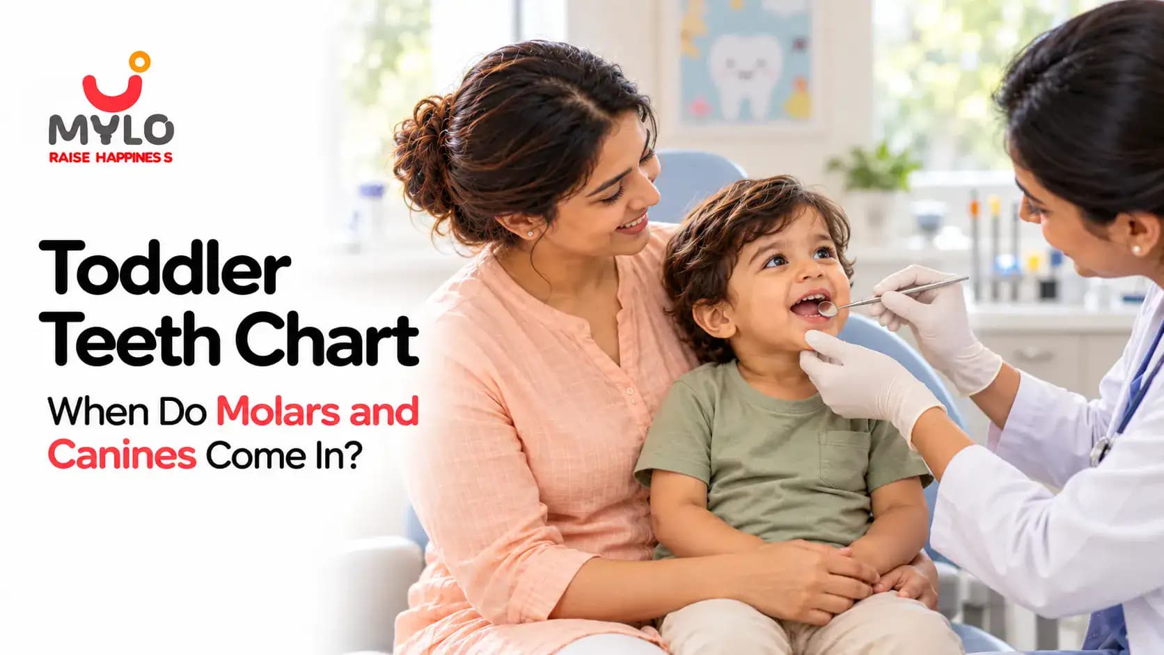 Toddler Teeth Chart: When Do Molars and Canines Come In?