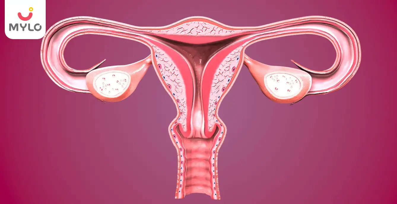 Anteverted Uterus in Hindi Meaning | क्या आप एंटेवर्टेड यूटरस होने पर प्रेग्नेंट हो सकते हैं? 