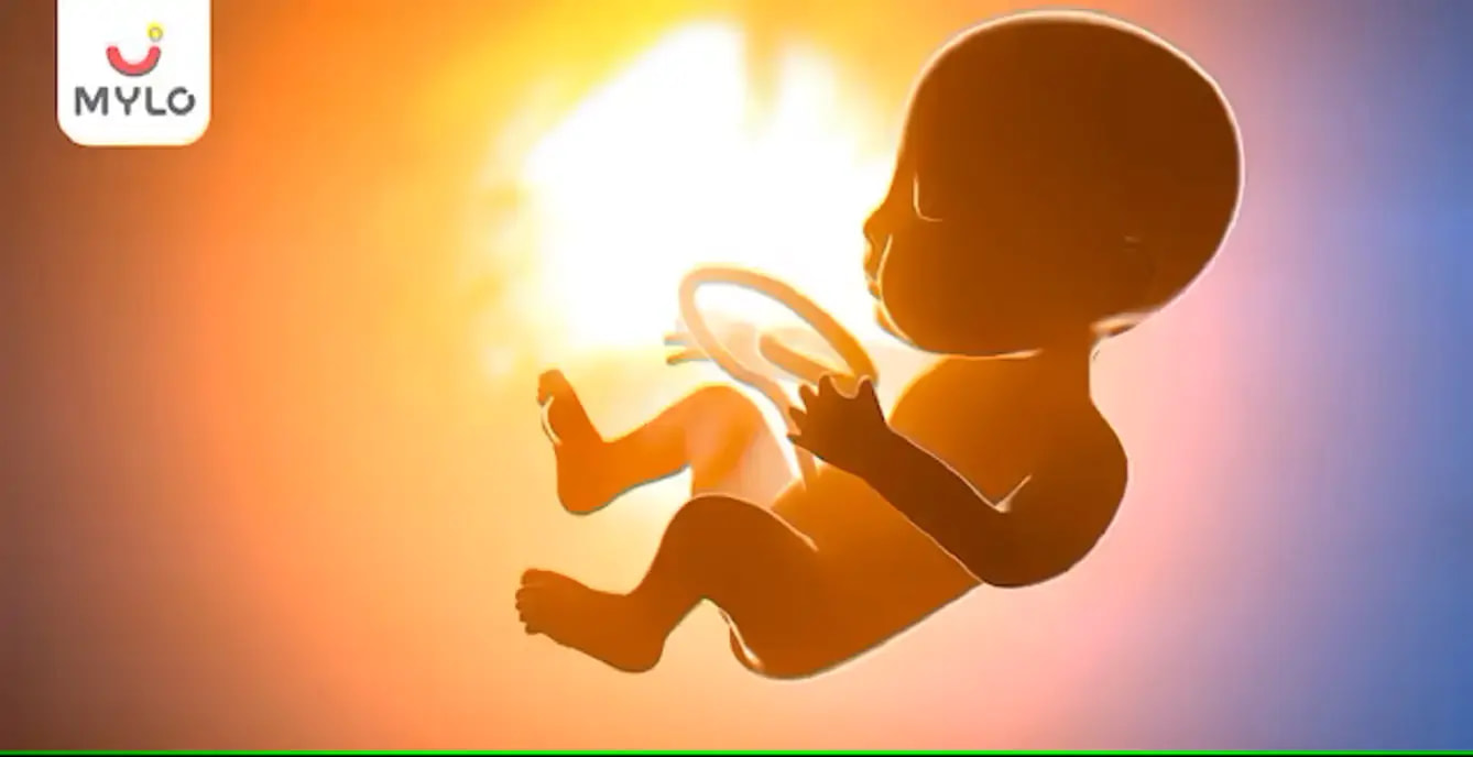 கர்ப்ப காலத்தின் போது கருவின் வளர்ச்சி மற்றும் அதன் வளர்ச்சி நிலைகள்(Fetal Growth and Development During Pregnancy  In Tamil)