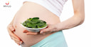 Images related to Spinach During Pregnancy: Benefits & Side Effects