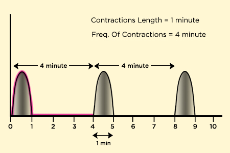 contraction english